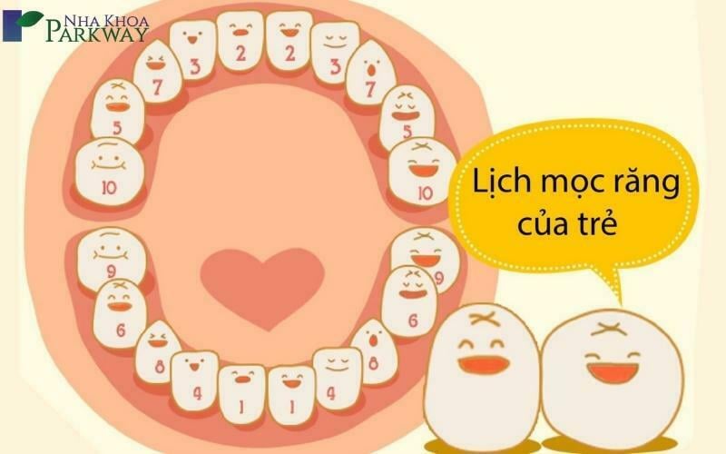 Thứ tự mọc răng đúng của trẻ 