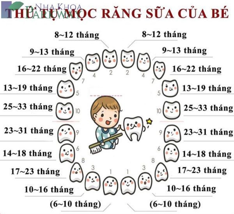 Thời gian mọc răng sữa ở trẻ em