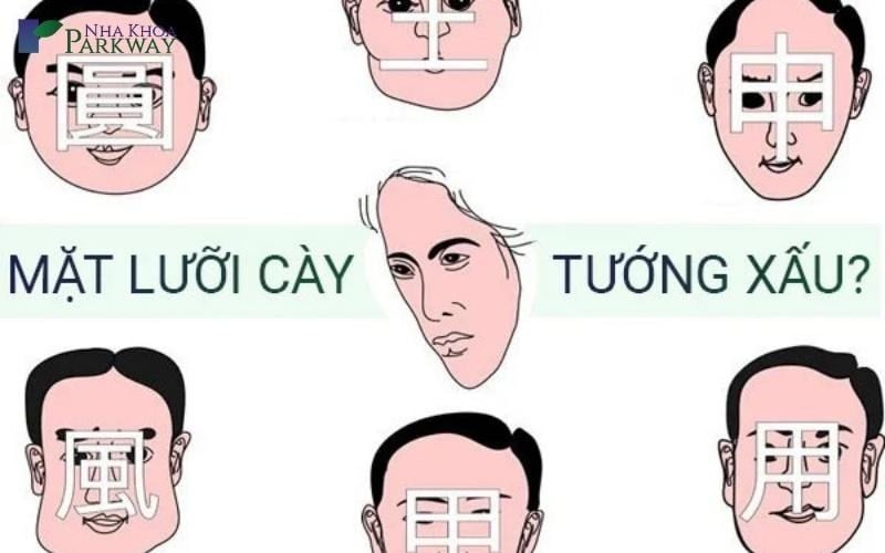 tướng số của khuôn mặt lưỡi cày